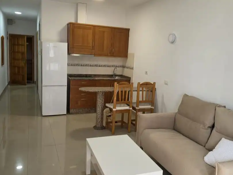 Pis de 40 m² a Las Palmas de Gran Canaria