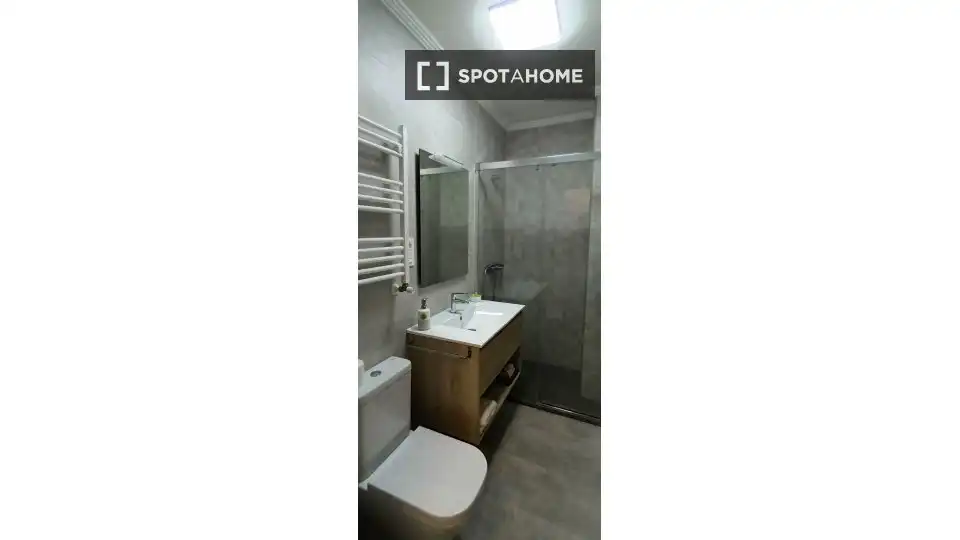 Habitación 46 m², Bilbao