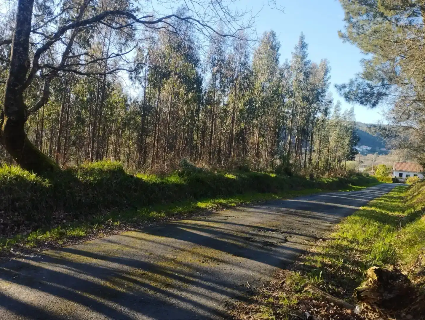 Casa de 3000 m² en Ferrol