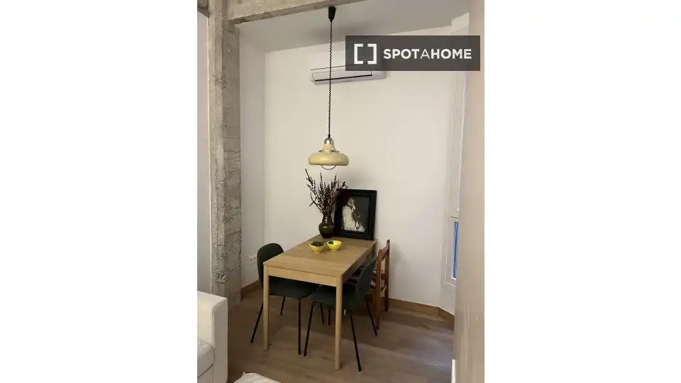 Habitación 46 m², Bilbao