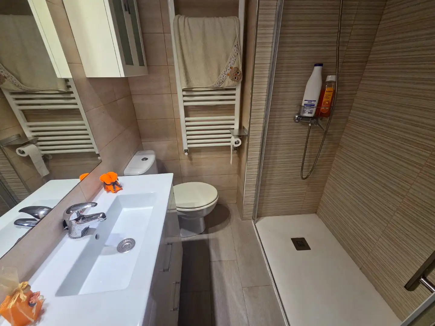 Appartamento 75 m² a Burgos