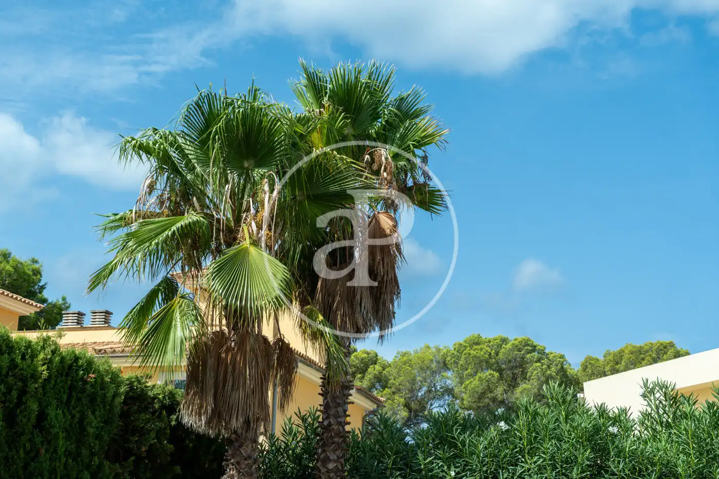 Casa 140 m² a Llucmajor
