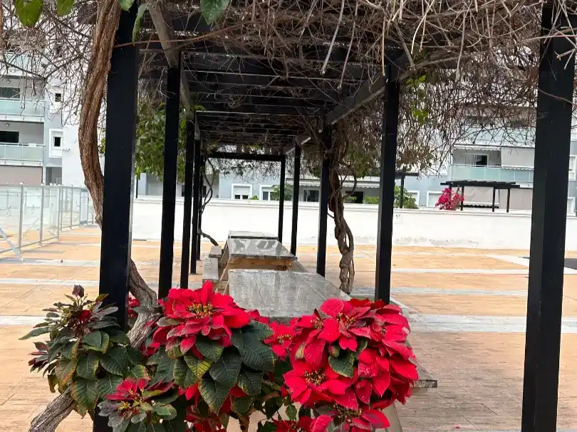 Piso de 60 m² en San Cristóbal de La Laguna