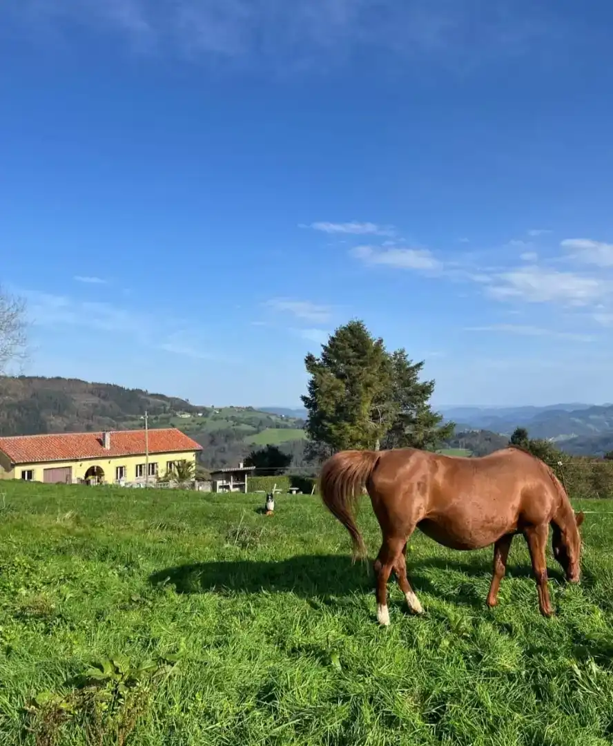 Casa de 100 m² en Salas