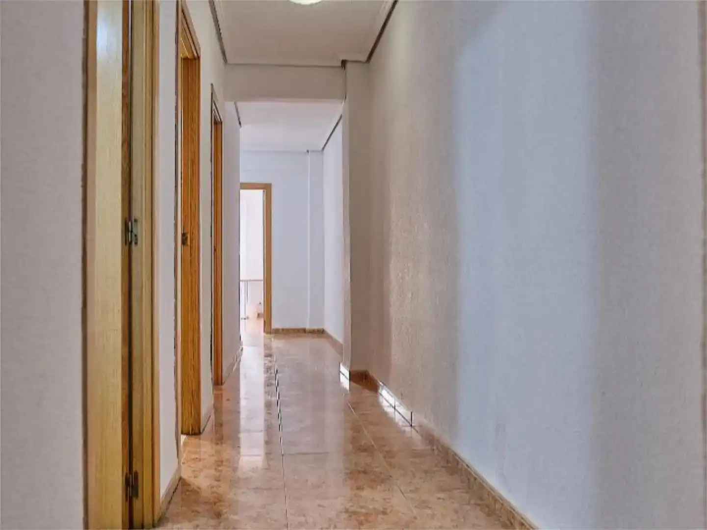 Habitación 150 m², Elche