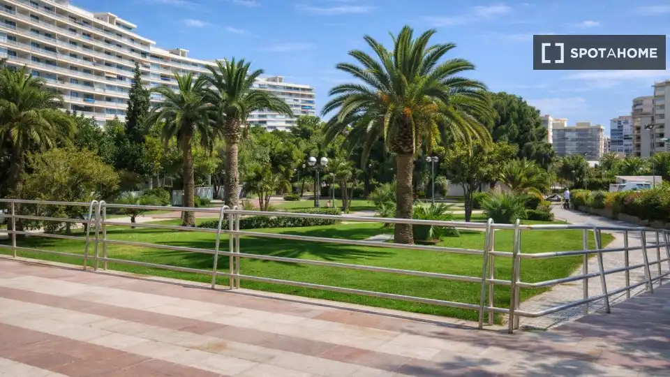 Habitación 40 m², Alicante
