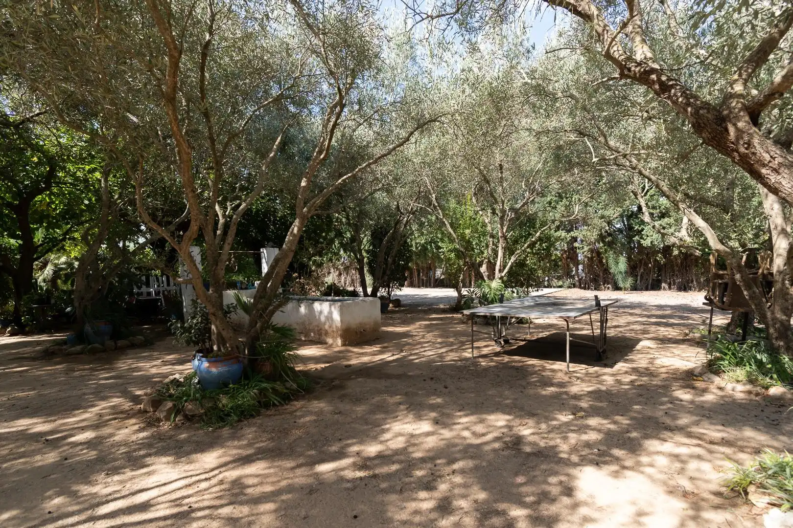 Maison 466 m² à Xérès