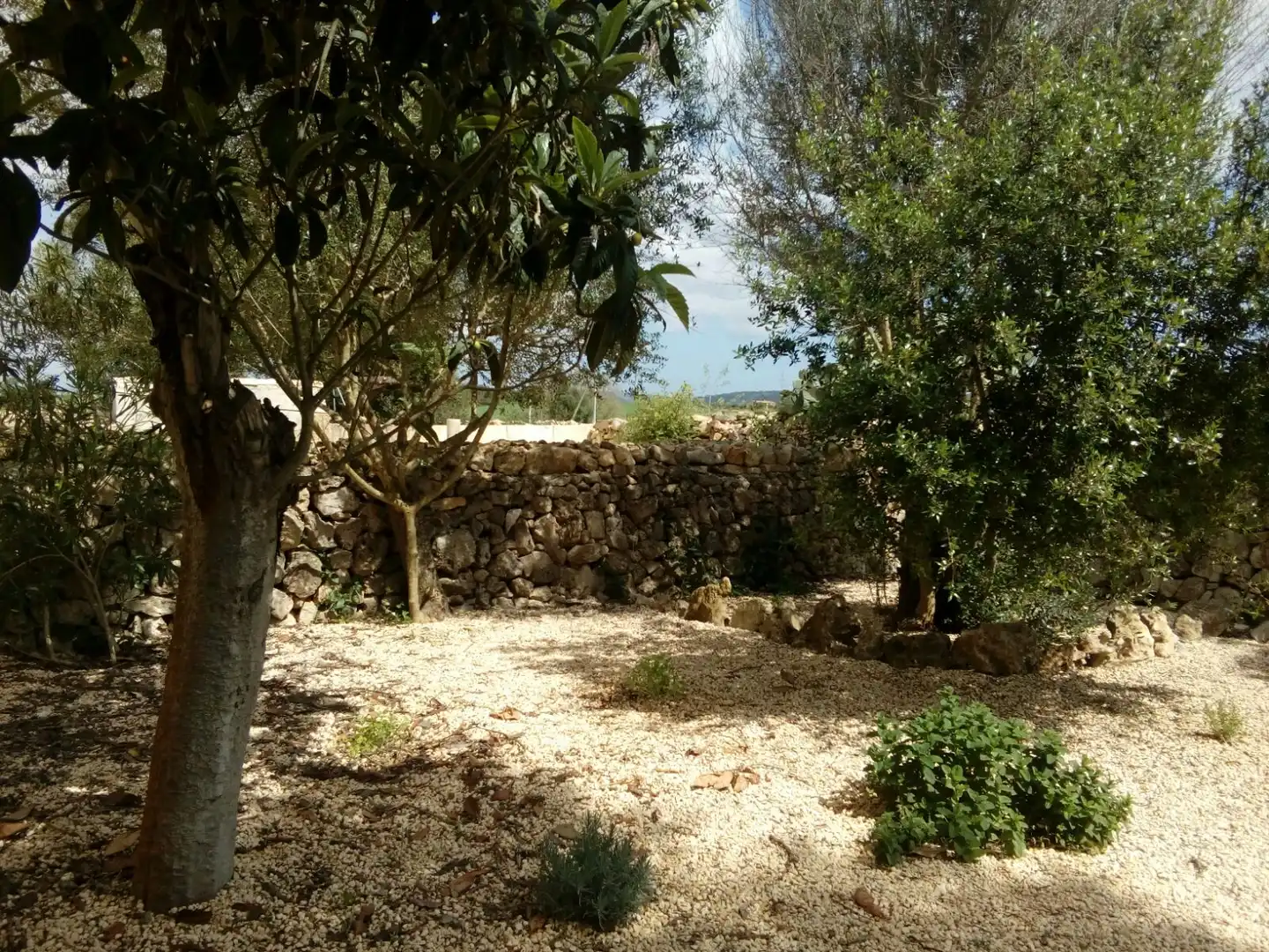 Piso de 130 m² en Vilafranca de Bonany