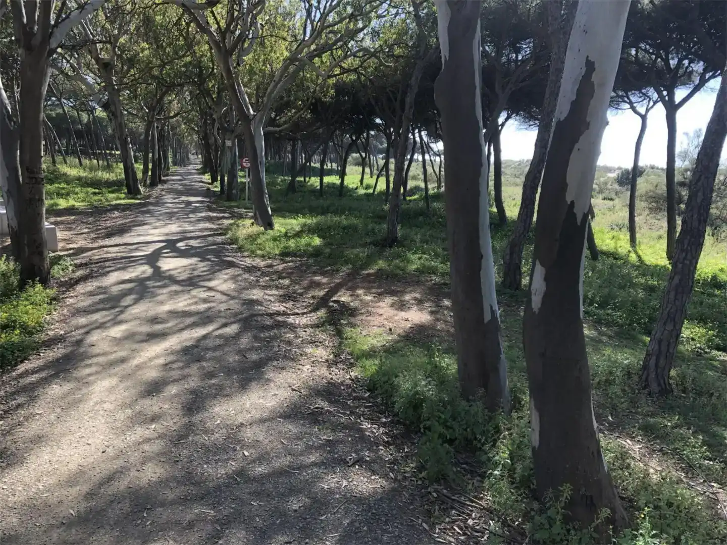 Piso de 130 m² en Isla Cristina