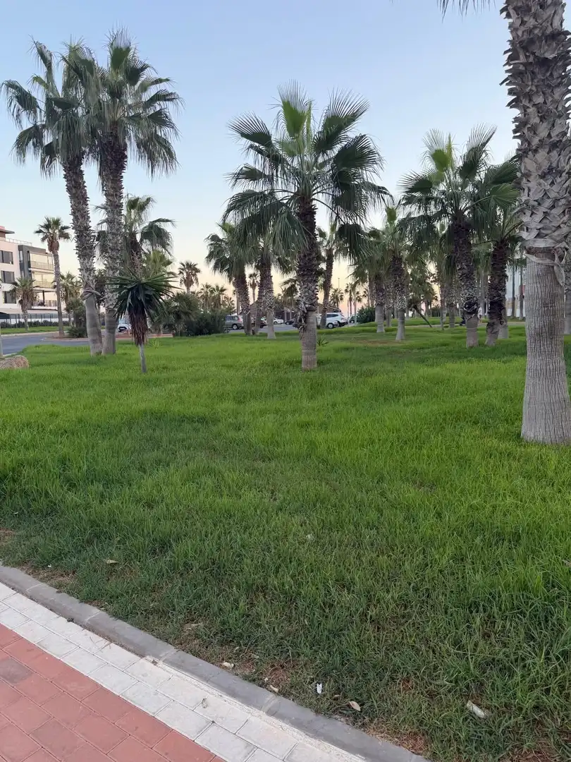Piso de 75 m² en El Ejido