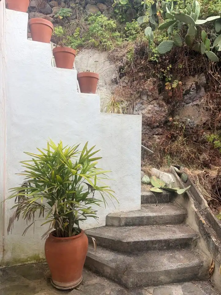 Piso de 50 m² en Firgas