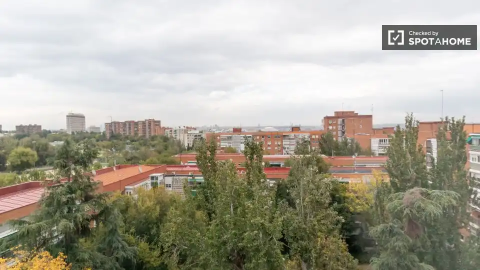 Habitació de lloguer, Madrid