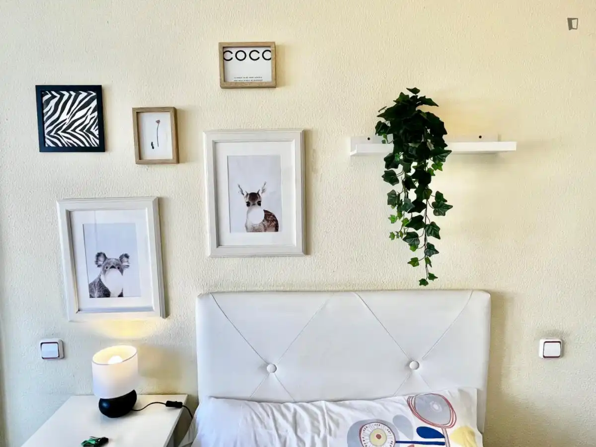 Habitación en alquiler, Bilbao