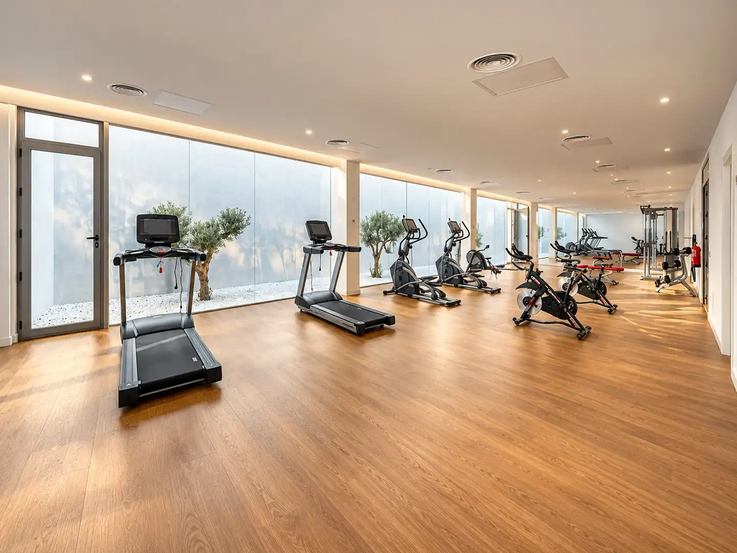 Casa de 263 m² a San Roque