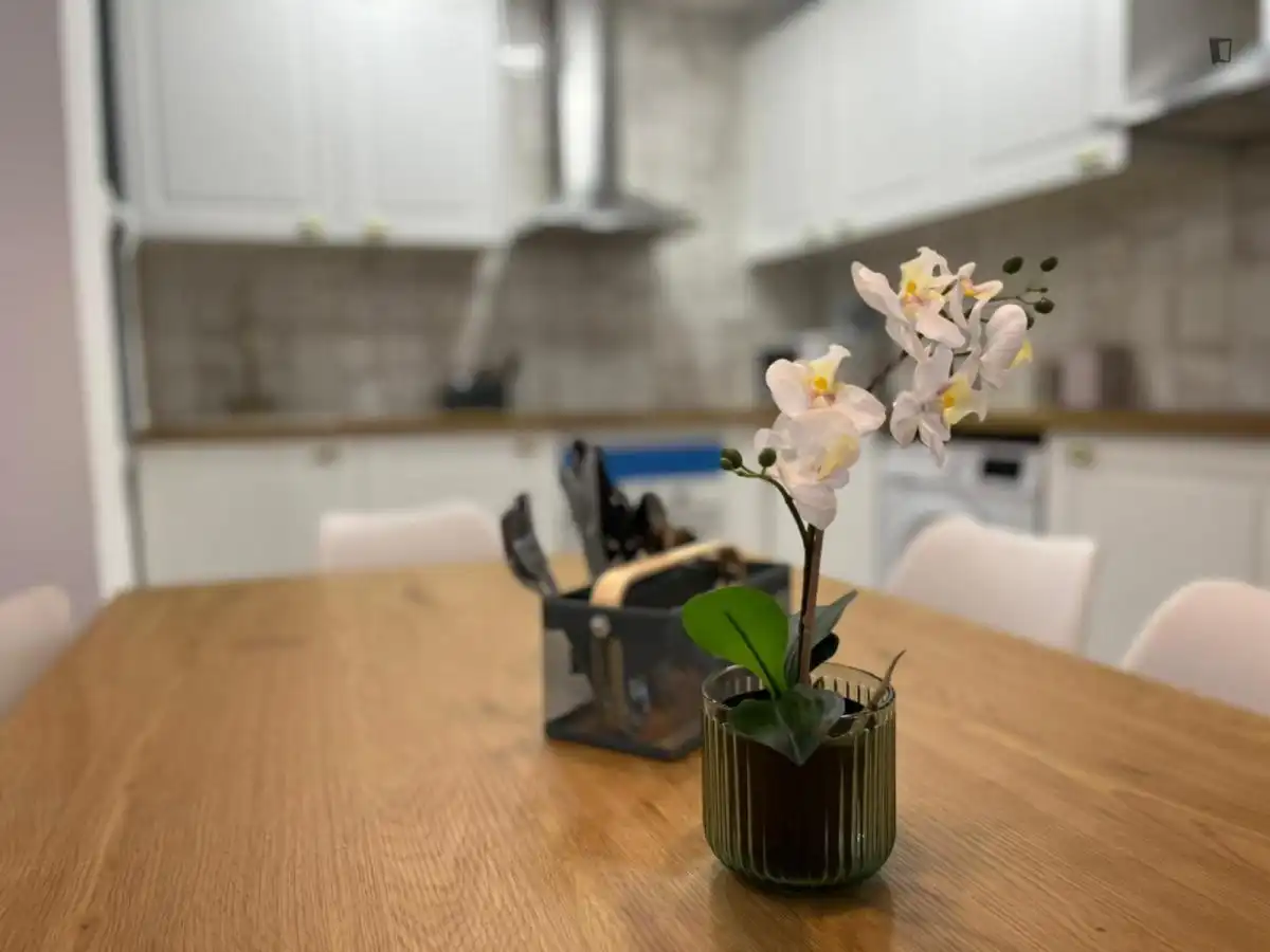 Habitación en alquiler, Zaragoza