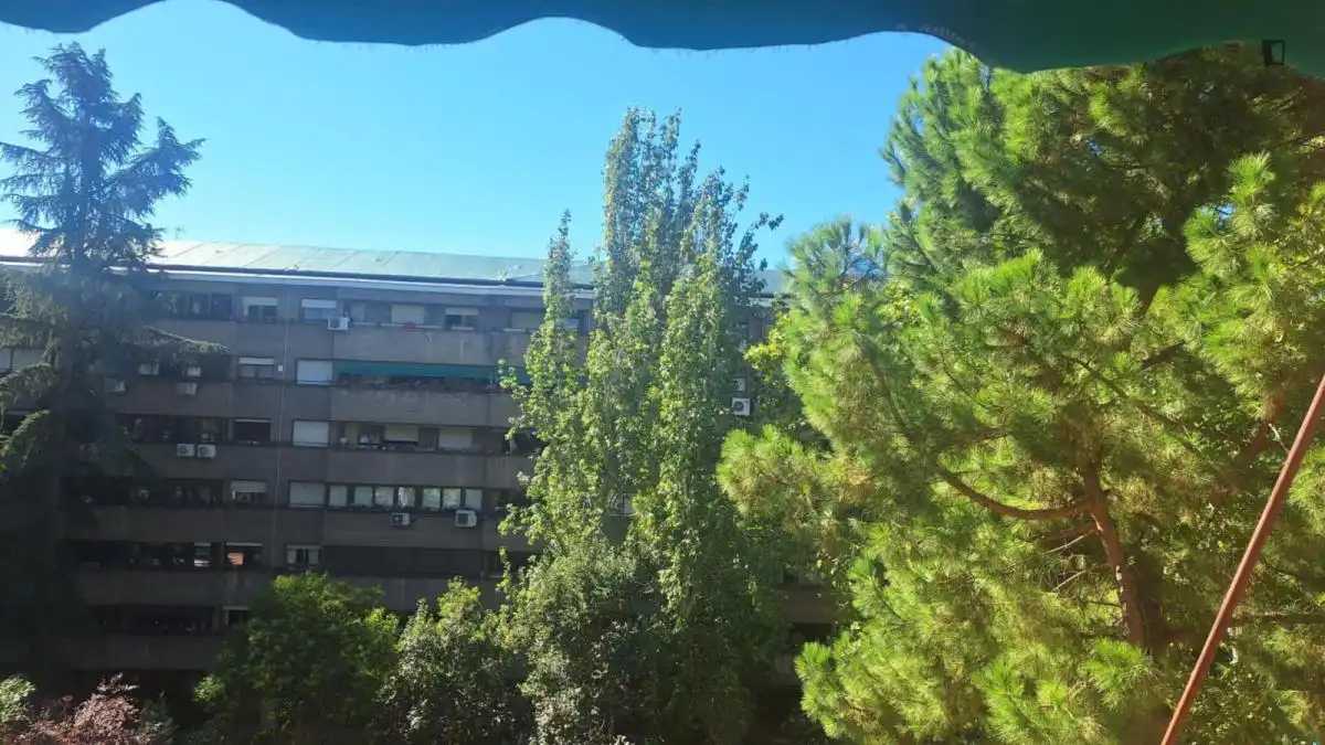 Chambre à louer, Madrid