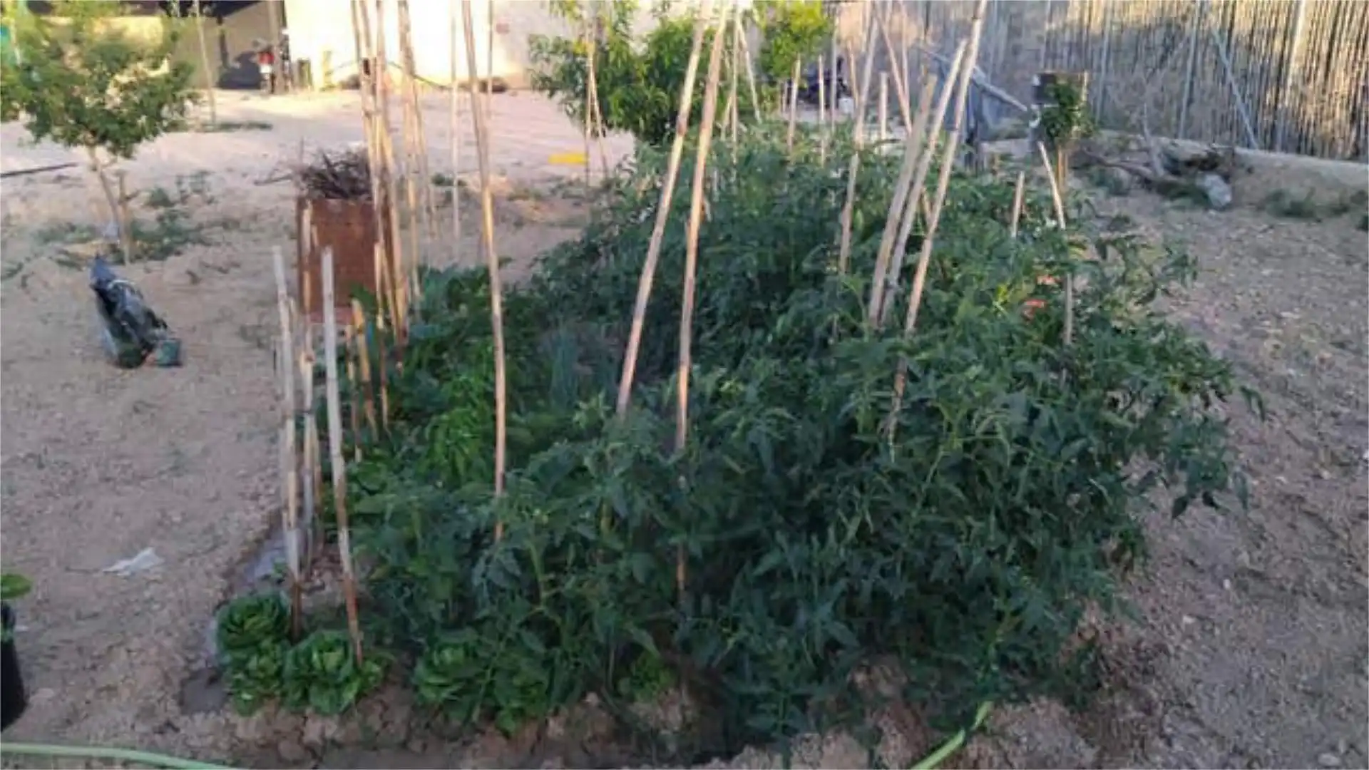 Casa de 130 m² en Murcia