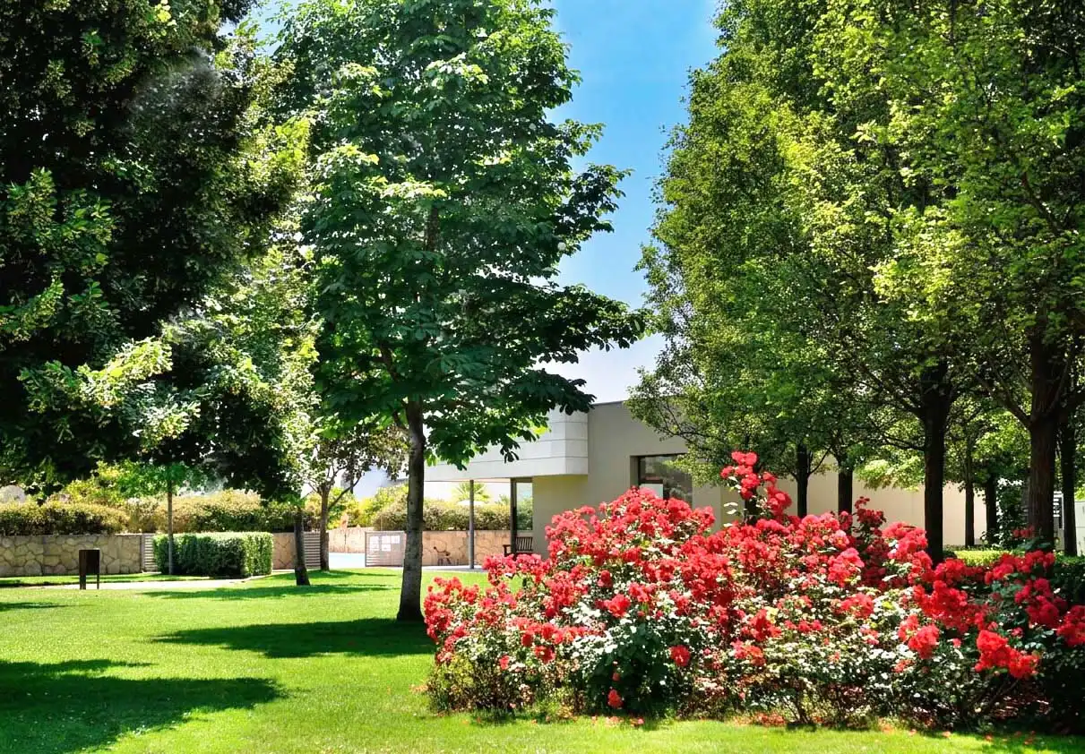 Casa de 290 m² a Madrid