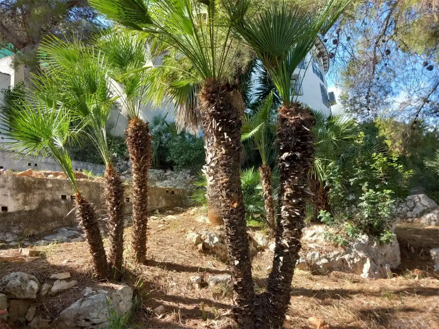 Piso de 164 m² en Pedreguer