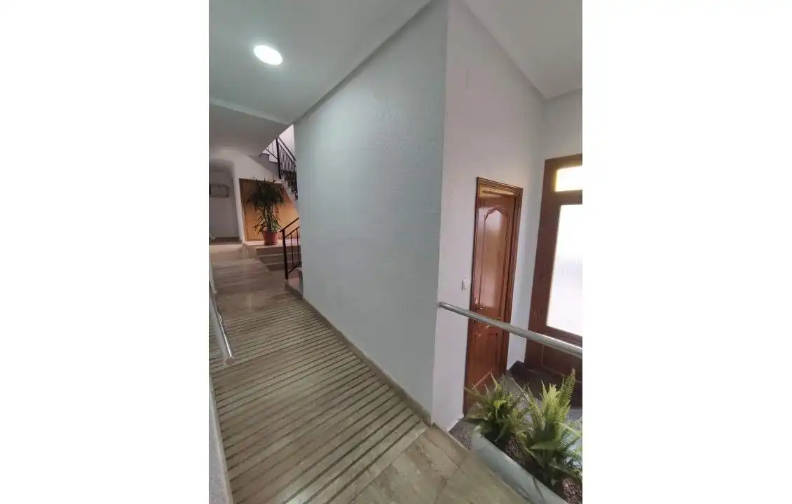 Habitación 120 m², Elche