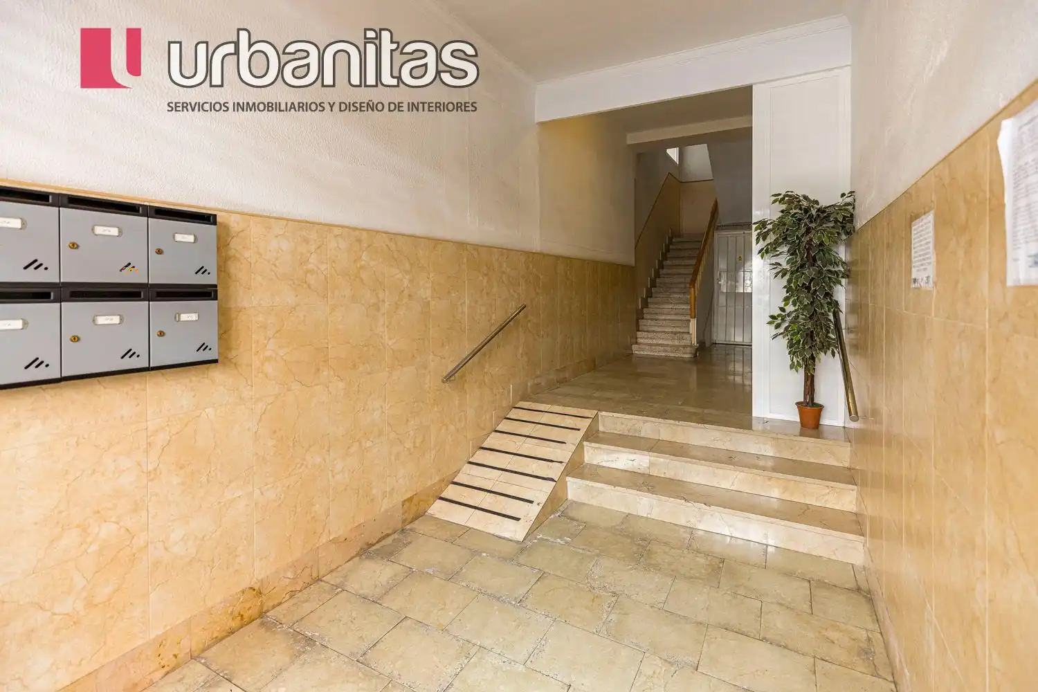 Комната 100 м², Мурсие
