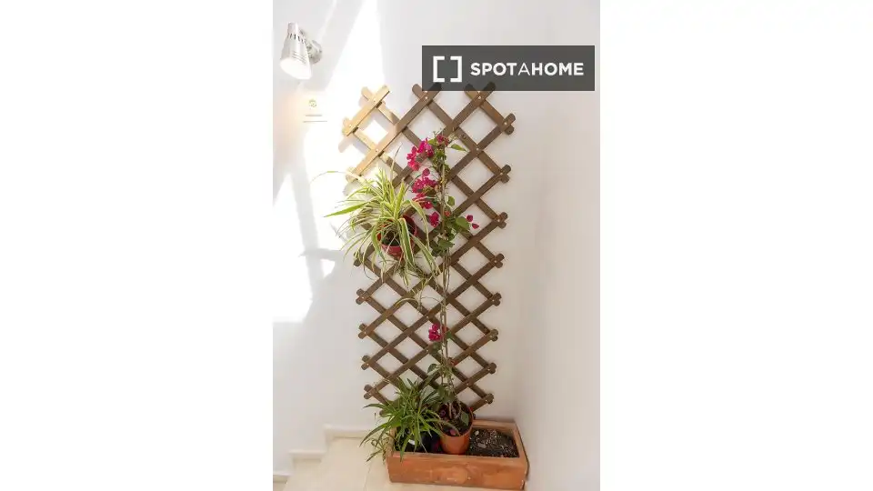 Habitación en alquiler, Sevilla