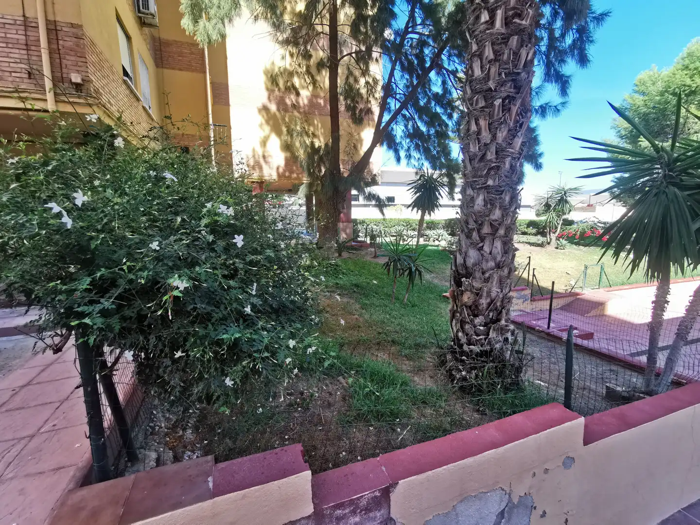Chambre à louer, Málaga
