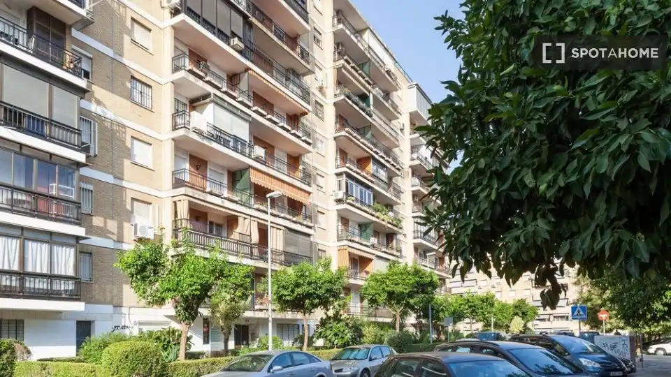 Habitació de lloguer, Sevilla