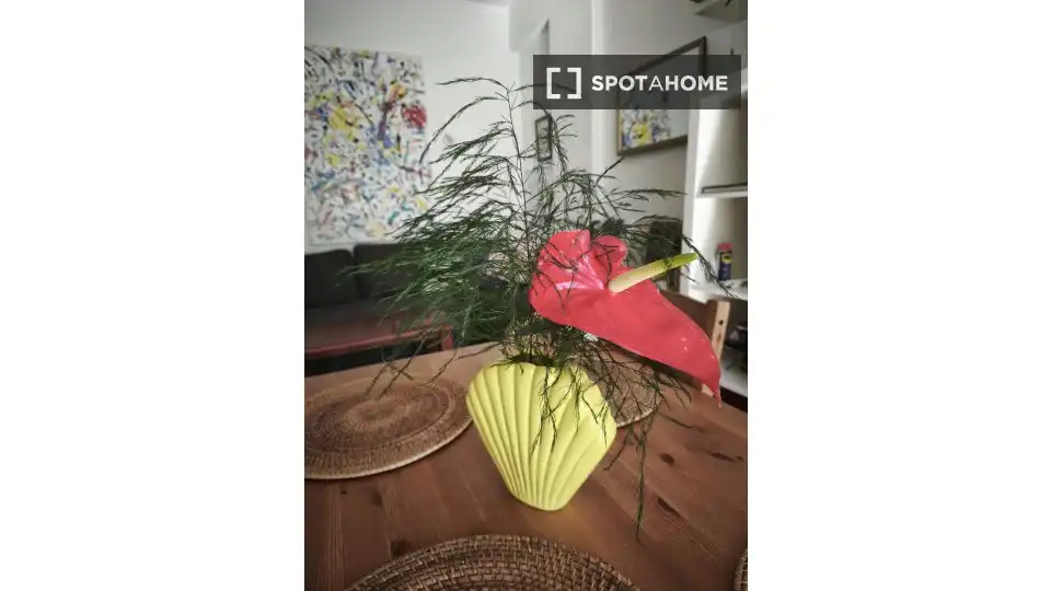 Habitación 35 m², Puerto de la Cruz