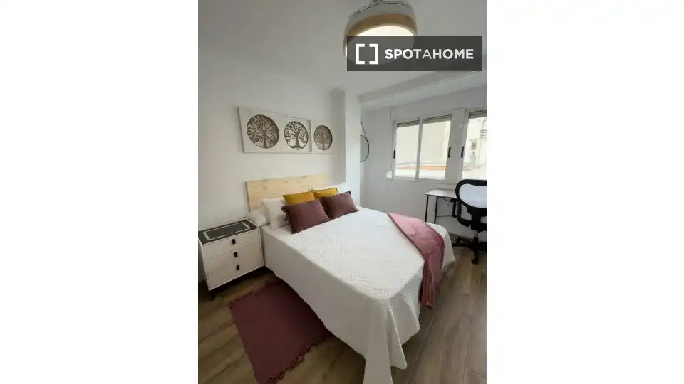 Habitació de lloguer, Alacant