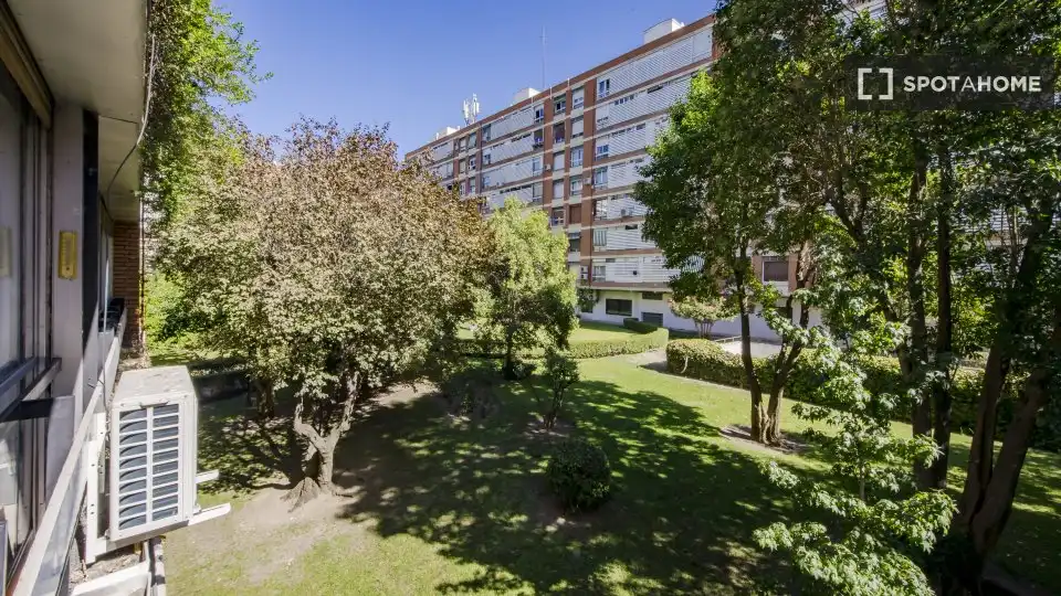 Habitació de lloguer, Madrid
