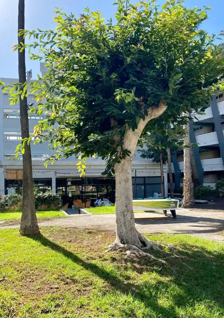 Piso de 55 m² en San Bartolomé de Tirajana
