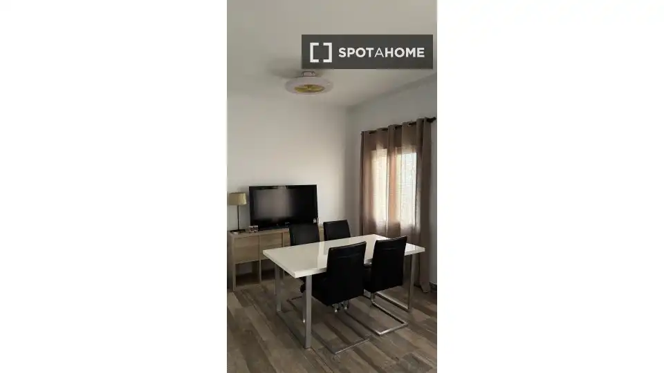 Habitació de lloguer, Alacant
