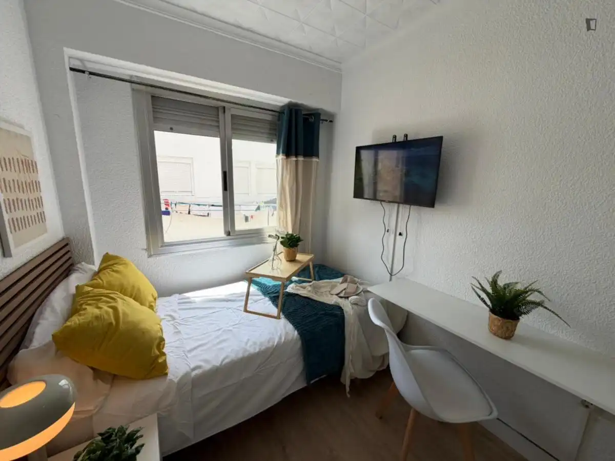 Habitació de lloguer, Alacant