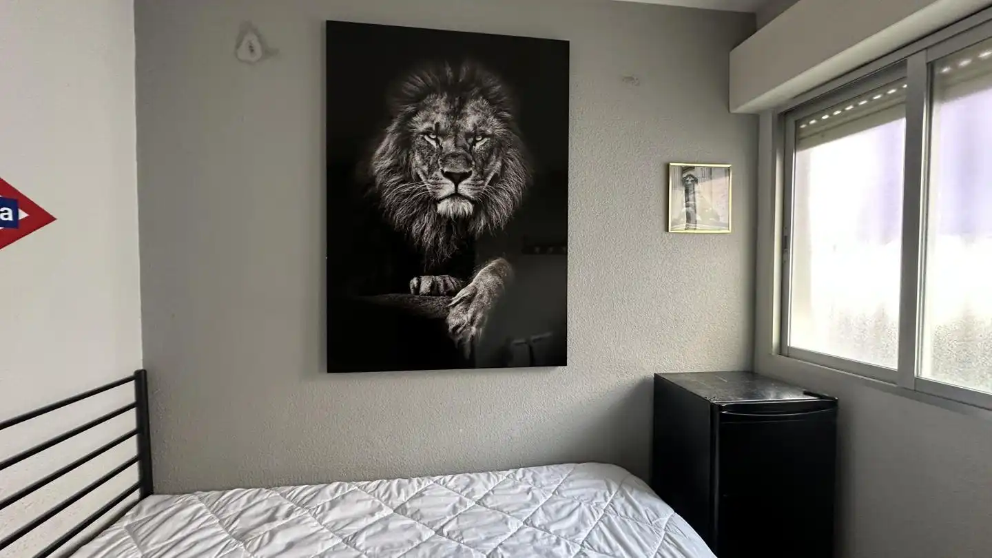Habitación 30 m², Madrid