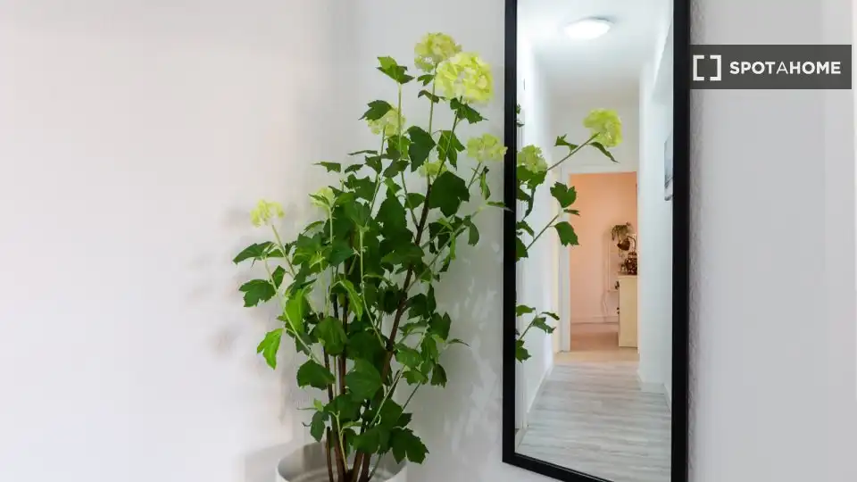 Habitación 15 m², Valencia