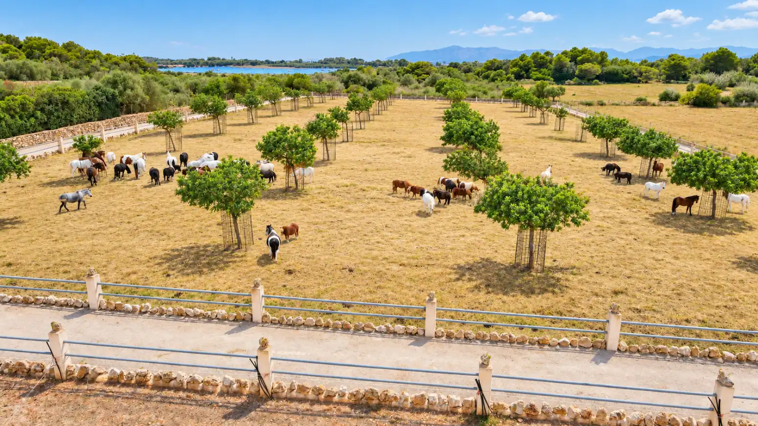Casa de 69 m² a Santa Margalida