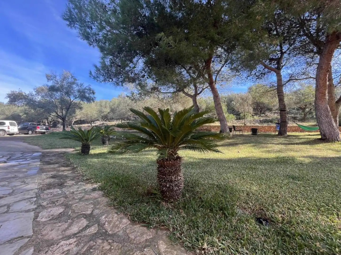 Piso de 600 m² en Manacor