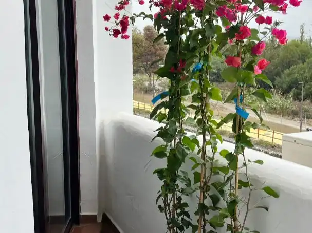 Appartamento 71 m² a Marbella