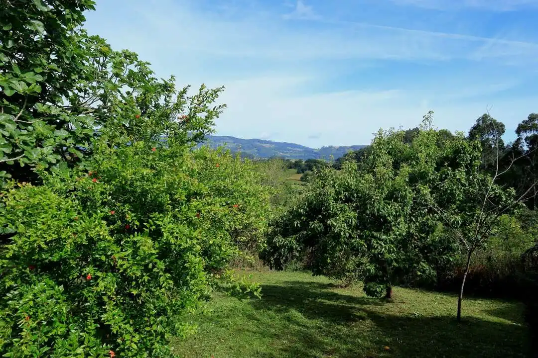 Maison 94 m² à Villaviciosa