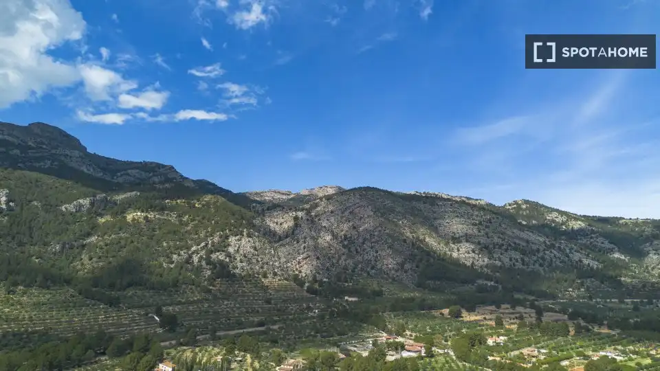 Habitación en alquiler, Muro de Alcoy