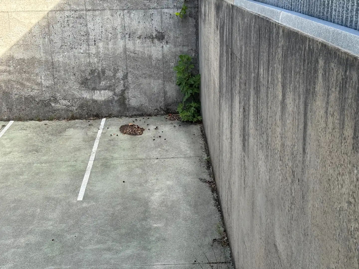Piso de 50 m² en Santiago de Compostela