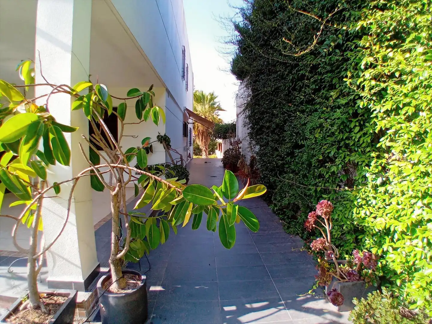 Piso de 428 m² en Córdoba