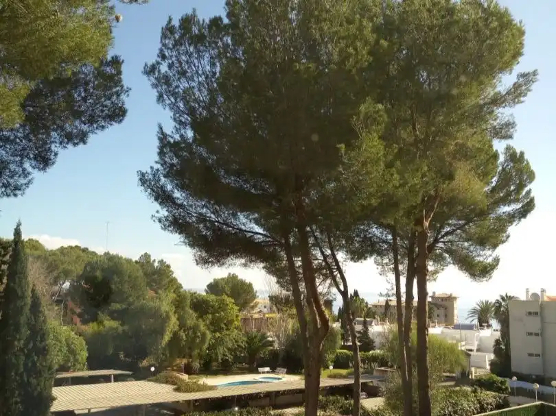 Pis de 90 m² a Calvià