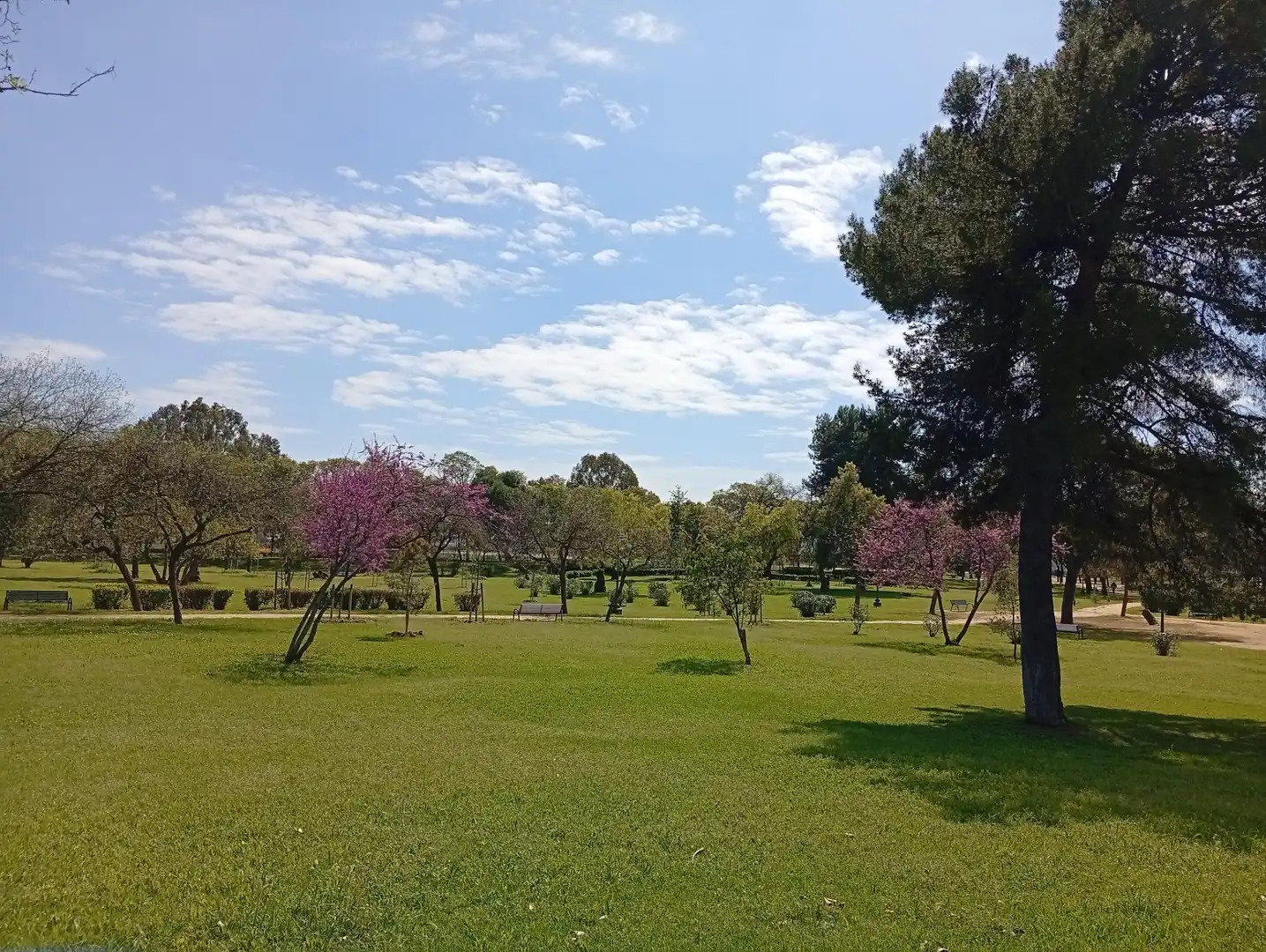 Piso de 108 m² en Sevilla
