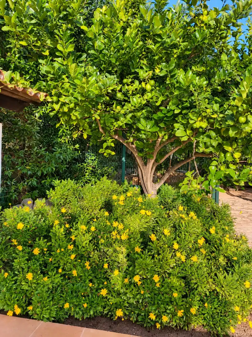 Casa de 140 m² en Andratx