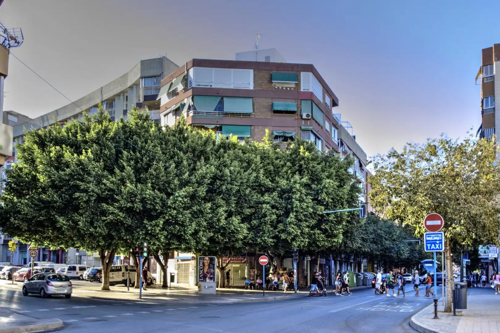 Habitació de lloguer, Alacant
