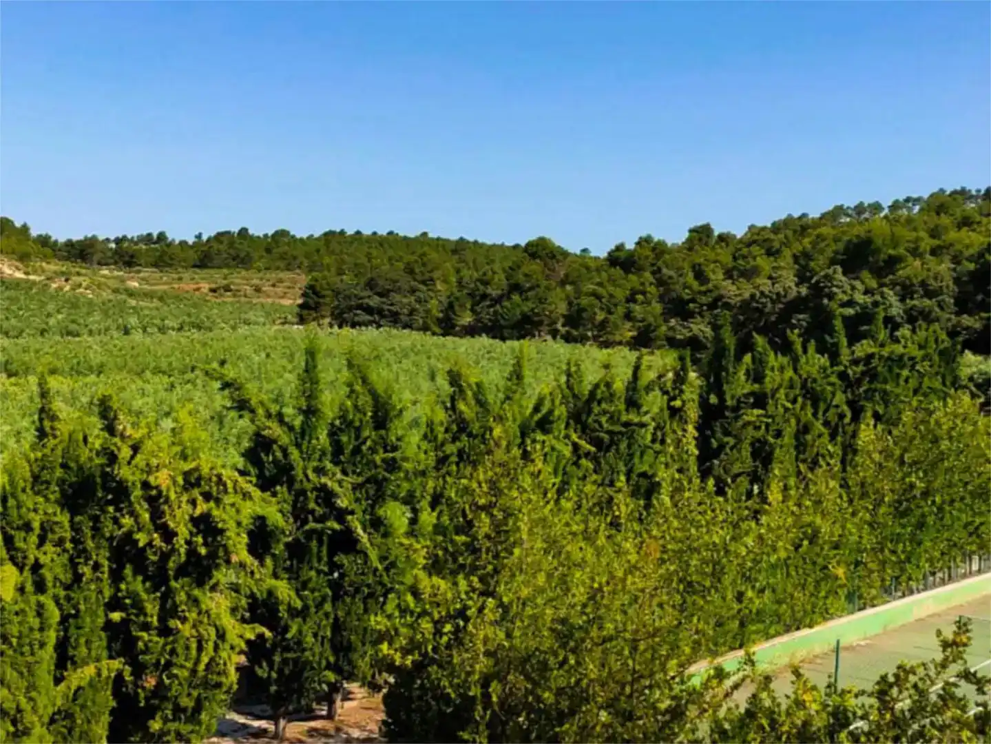 Piso de 560 m² en Alcoy