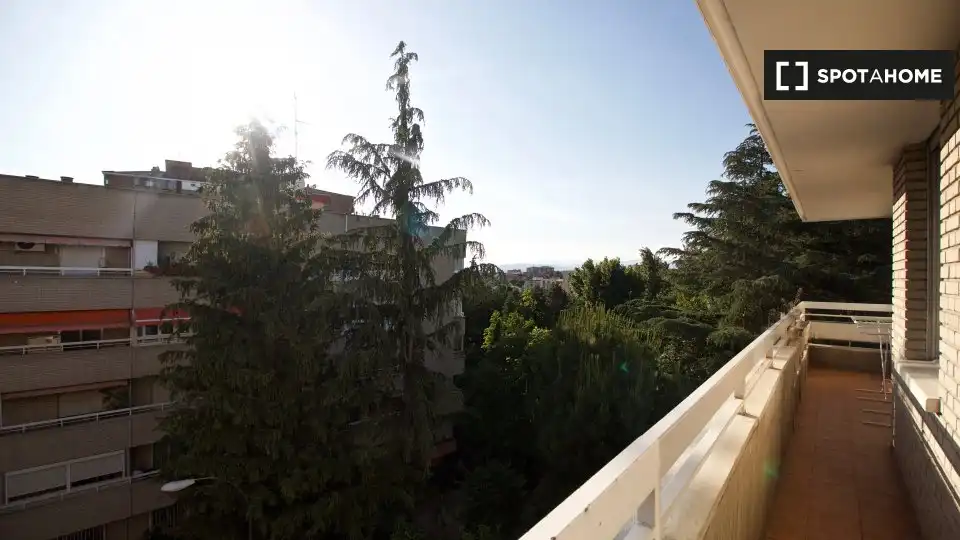 Zimmer zur Miete, Madrid