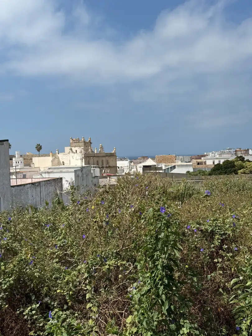Wohnung 50 m² in Tarifa